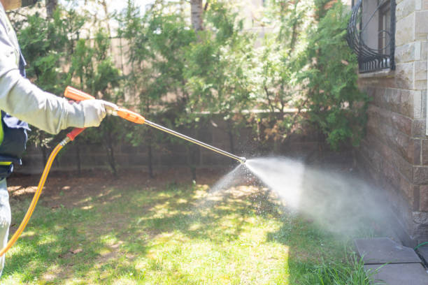 Best Mosquito Control Services  in Rosewood Heights, IL