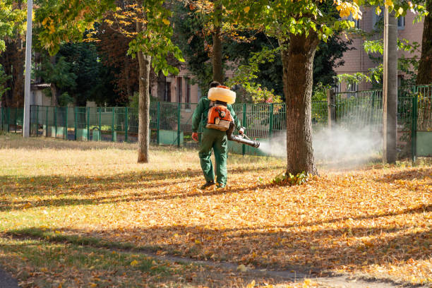 Best Pest Prevention Services  in Rosewood Heights, IL